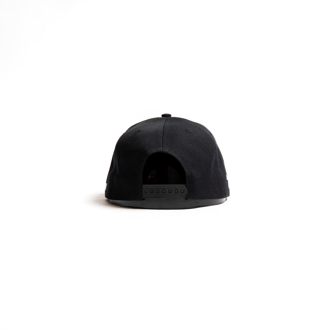 Brand About Nothing carolina exhibit b hat - black
